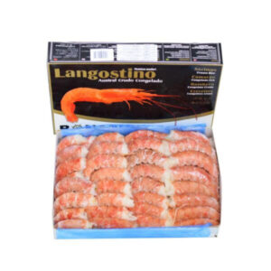 Gambón Austral "Pelado" 10/30